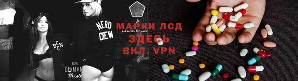 эйфоретик Баксан