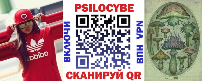 Псилоцибиновые грибы GOLDEN TEACHER  Купить где  Нововоронеж 