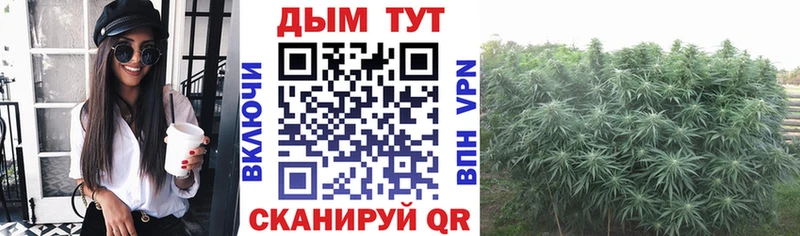 Бошки Шишки тримм  Купить где  Нововоронеж 